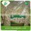 Wholesale fresh peeled garlic price