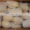 Fresh potato 200-250g mesh bag packing from factory directly