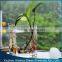 rectangle glass terrarium
