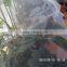 anti bird capture protection net