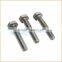 Best lowerst factory price 304 316 allen bolt
