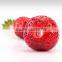 Strawberry Tomato Stem Leaves Huller Remover