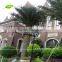 APM012-5 GNW 5m high artificial palm tree for wedding decorations
