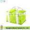 US Market Promotion Insulated Cooler Bag, Thermal Lunch Cooler Bag, Picnic Cooler Bag