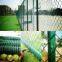 Stadium Wire Mesh Fence