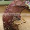 Chocolate Brown Color Wedding Bridal Hand Lace Fan and Umbrella