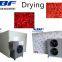 Hot selling fully automatic Peppers vegetable air oven dryer