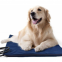 Factory direct selling pet heating pads pet heating pad with timer pet heating pad with thermostat with manufacturer price