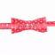 Amazon best selling cute polka dot pattern bowknot dog collar and leash set