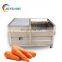 500kg vegetable washer conveyor tomato washer machine price