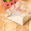 Luxury Shopper Paper Bag Shopping Printed Logo Custom Paper Who Te