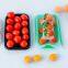 disposable blister food fresh tray pp vegetable fruit meat frozen tray