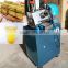 Vertical Sugarcane Juicer, hot sale fruit juicer