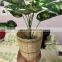 High Quality Mini Bamboo Planter Pot Small Flower Tiny Planter Pot Air Plant Holder Wholesale Vietnam Supplier