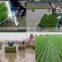 Riding type rice transplanter