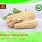 products china premium quality indian corn