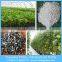3-6mm Horticultural Perlite,Agricultural Perlite for Rooting Cutting