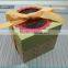 newest popular kraft paper box food