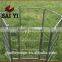 NO Platfond Cage For Dog Running