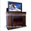 indoor Imitation insert electric fireplace with remote control