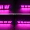 Hot sale PF-5X series 5w chip 600w led grow light with veg and flower modes