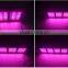Hot sale 1000w full spectrum led grow lights for hemp grow and bloom