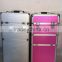 double open beauty colorful huge storage Aluminum makeup case,comestic case made in China