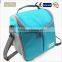 2016 Ice bag series easy to carry iec bag picnic bag hiah quality lunch bag Ice cream bag