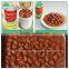 Canned foul medames