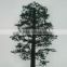 Pine Tree Cell Phone Tower