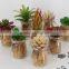 Wholesale Artificial Succulent Bonsai Pot Succulent Plants