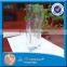 Unique Cut 400ML High Quality Clear Glass Vase Square