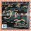Camouflage color coated steel coil / pre-paint ppgi WF-MC101