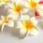 Artificial Hawaiian Plumeria EVA Foam Frangipani Hair Flowers