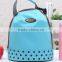 Professional Freezer Bag for Travel With CE Certificate