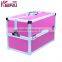 Lockable Multi-Functional Large Cosmetic Cases With 6 Trays