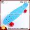 70kgs Top ABS Deck Material OEM Fish Shape Skateboard