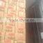 IQF Strawberry from Egypt for Export