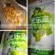 Hot selling healthy fruit chips