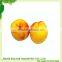 canned fruit food yellow peach halves in syrup