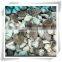 pollution-free food /raw mushroom/frozen food mushroom