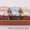 3pcs Glass Spice Jar Set in a Paper Tray