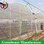 High quality commercial plastic greenhouse