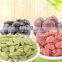 Good quality cranberry drying oven/cranberry chip dryer with good price