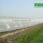 Tunnel Plastic Greenhouse for Agriculture Low Cost