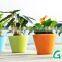 Cheap plastic decorative small colorful flower pot