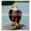 Hot Sale fiberglass decoration eagle garden animal statue for sale