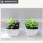 Artificial succulent home decorative tropical plants small manufacturing plant