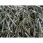 Polished Q195  common wire  Nails (factory direct) high quality and low price