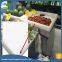 Environmental uhmwpe  ice table dasher board